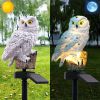 Solar Owl Garden Light Owl Solar Lamp Parrot Lawn Light Solar Lights Outdoor Solar Light Animal Pixie Lawn Lamp Waterproof Decor - White - China